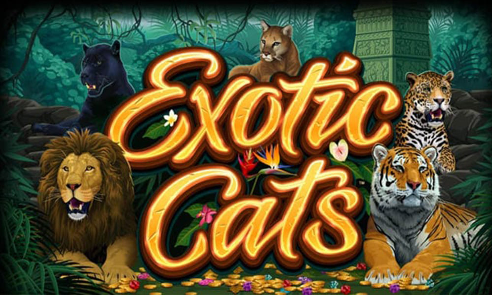 Slot Exotic Cats